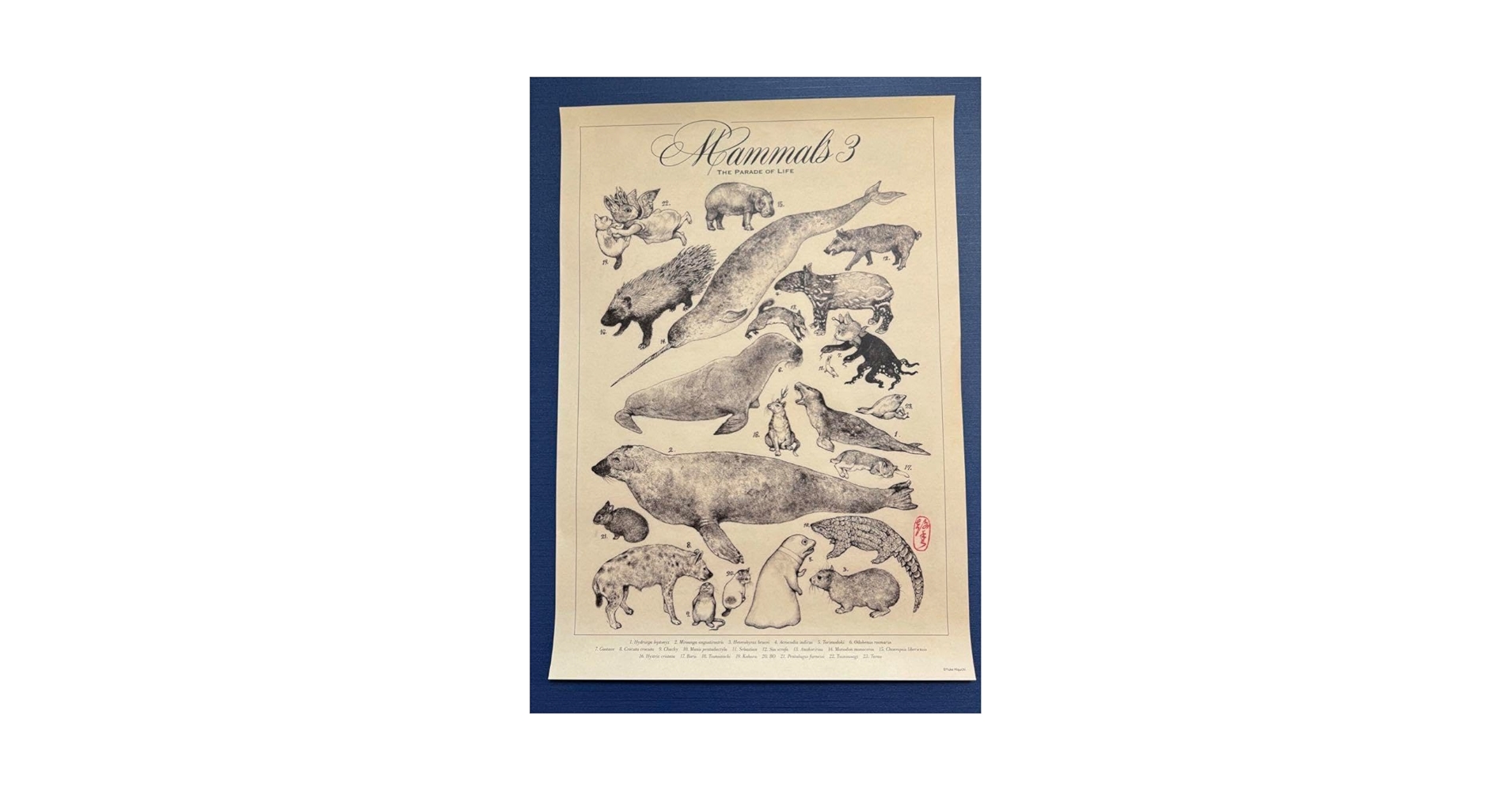 Amazon.co.jp: ヒグチユウコ ポスター 大哺乳類展3 : おもちゃ